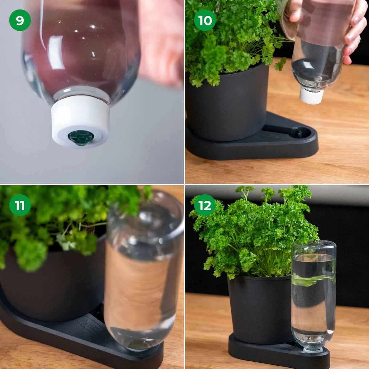 Herbimizer® | Kräutertopf mit automatischem Bewässerungssystem - Wundermix GmbH