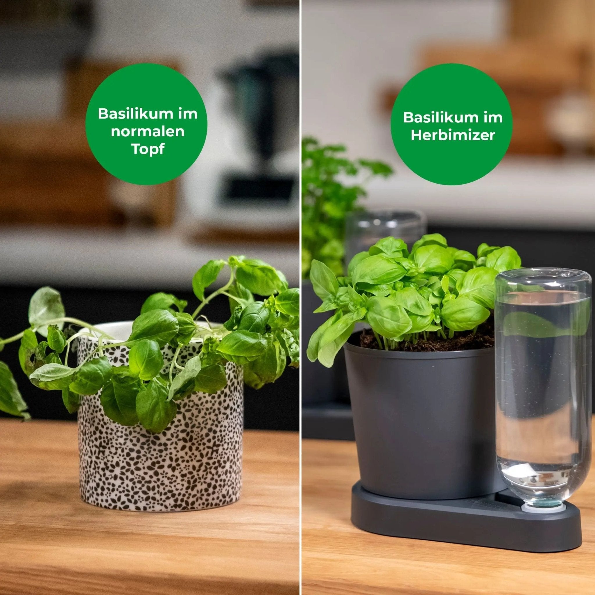 Herbimizer® | Kräutertopf mit automatischem Bewässerungssystem - Wundermix GmbH