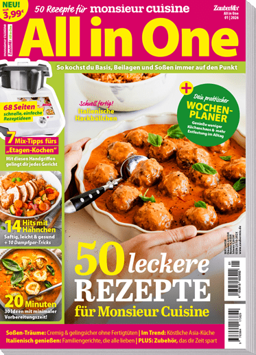 ZauberMix "All in One" - Ausgabe 01/2026 - Wundermix GmbH