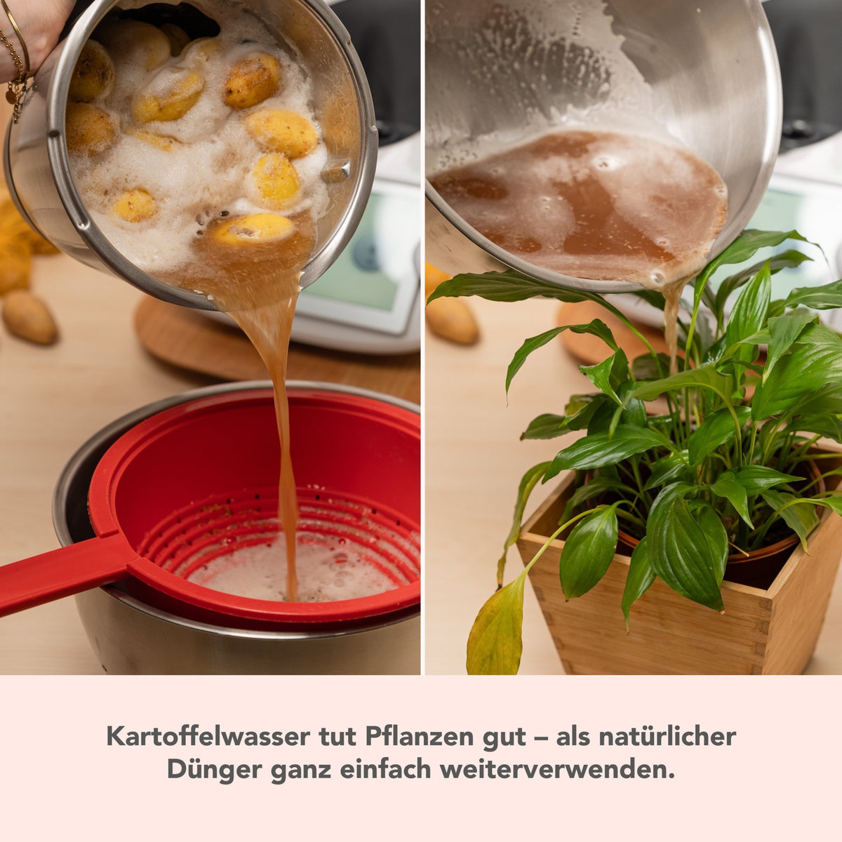 [B - Ware] WunderPeeler® | V2 | Kartoffelschäler - Aufsatz für Thermomix TM6, TM5, TM31 - Wundermix GmbH
